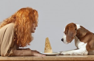 A woman staring down a dog over a piece of cheese