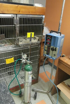 IV fluid pump and cage side oxygen tank